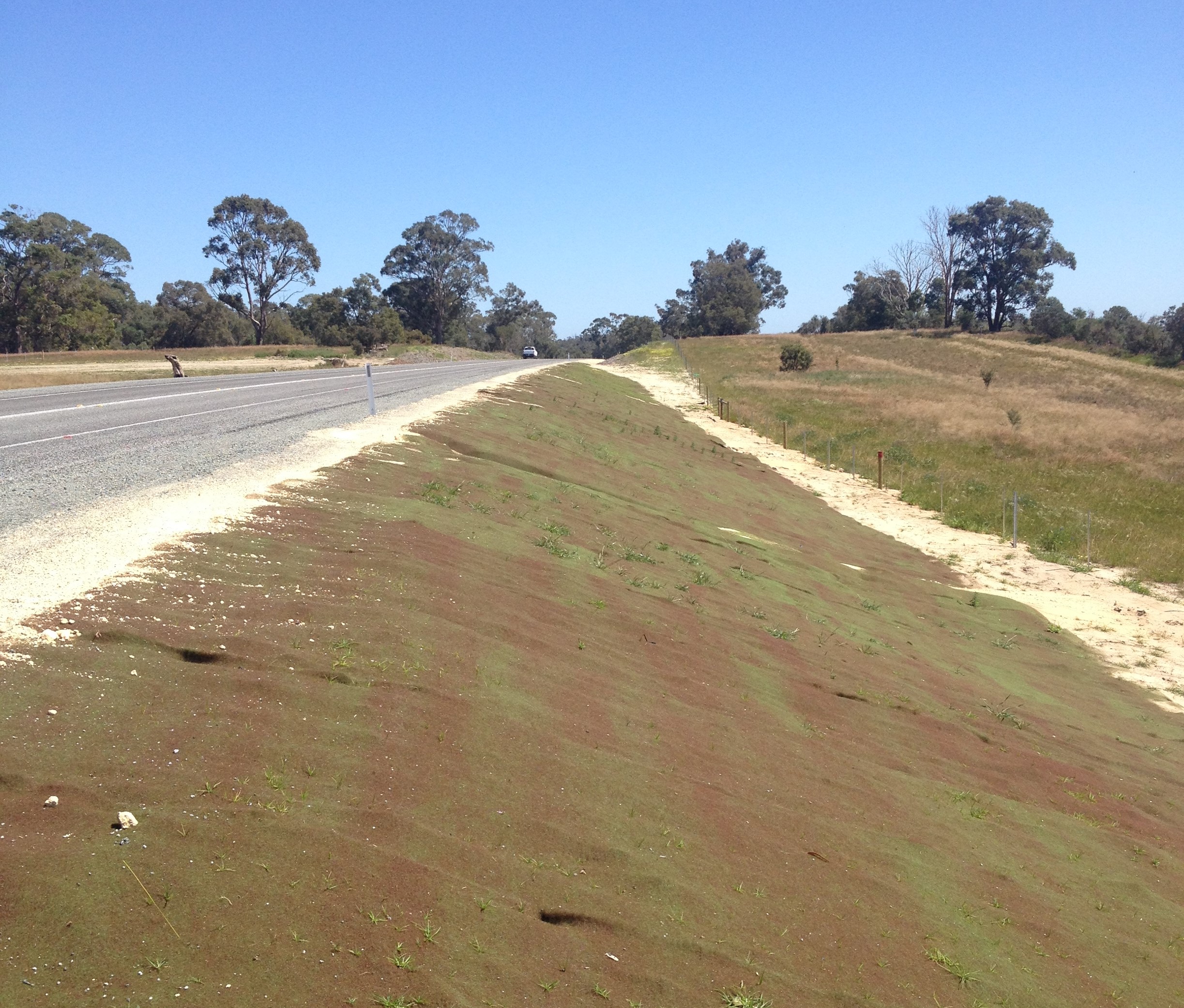 Grassroots® Synthetic Erosion Control Mat Geofabrics