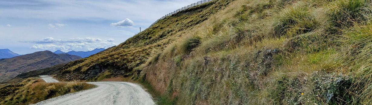 geomesh natural banner image