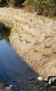 Erosion & Sediment control application thumbnail