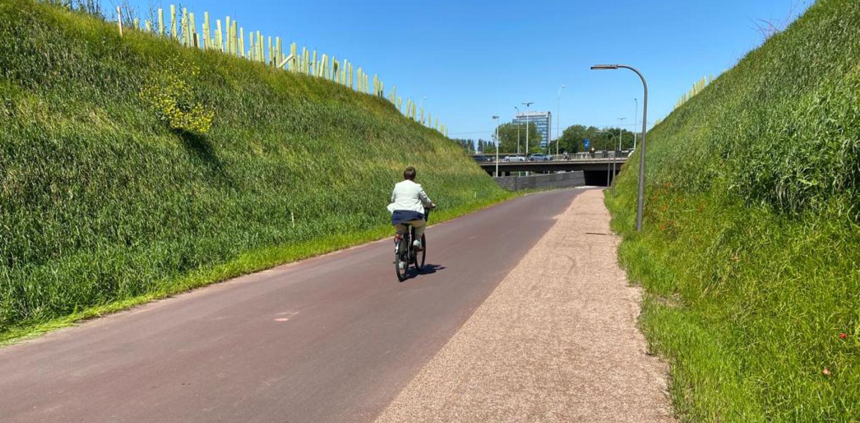 geomesh natural body image