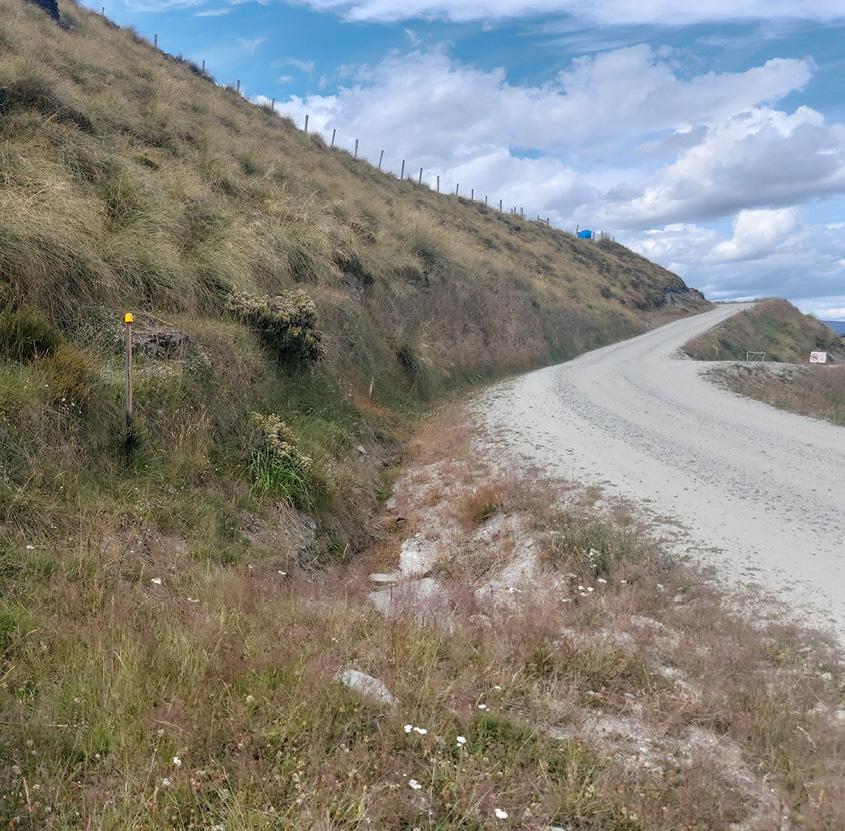 Natural wire-mesh system supports coronet peak ski slope 845X831_3